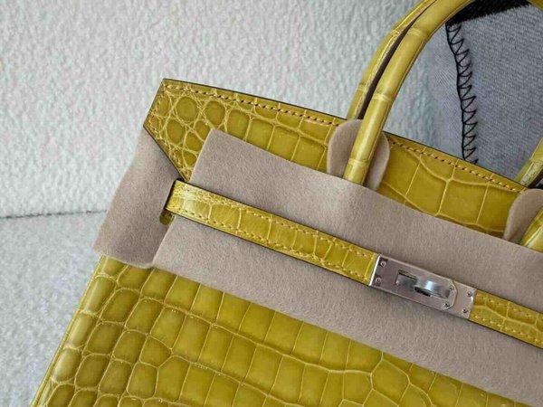 Hermès Birkin 25 Shiny Niloticus Crocodile Jaune Poussin x Palladium Hardware