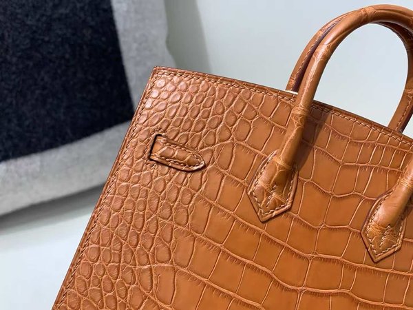 Hermès Birkin 20 Fauve Matte Alligator x Gold Hardware