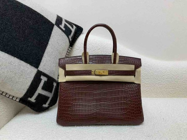 Hermès Birkin 30 Matte Porosus Crocodile Rouge Sellier x Gold Hardware