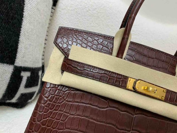 Hermès Birkin 30 Matte Porosus Crocodile Rouge Sellier x Gold Hardware