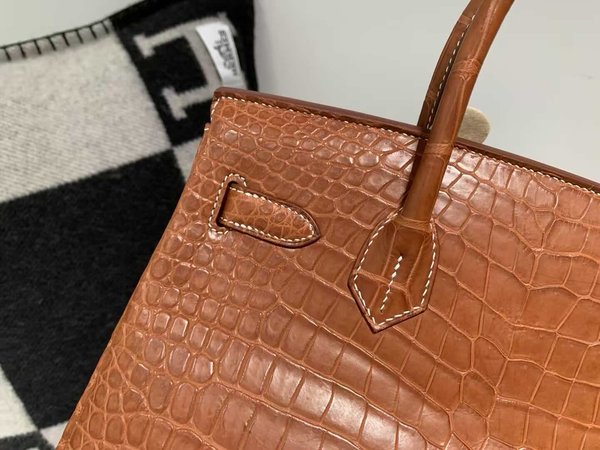 Hermès Birkin 30 Fauve Barenia Matte Alligator x Gold Hardware