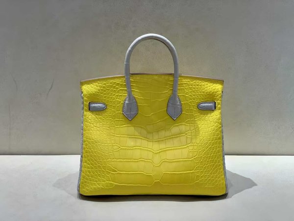 Hermès Birkin 25 Matte American Alligator Marigold with Pearl Grey x Gold Hardware