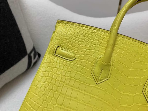 Hermès Birkin 25 Matte Porosus Crocodile M9 Marigold x Palladium Hardware
