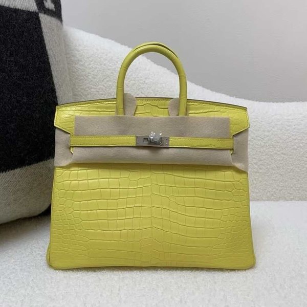 Hermès Birkin 25 Matte Porosus Crocodile M9 Marigold x Palladium Hardware