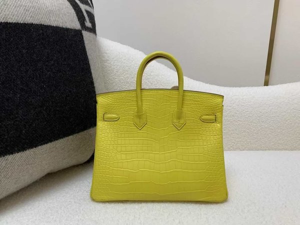 Hermès Birkin 25 Matte Porosus Crocodile M9 Marigold x Palladium Hardware