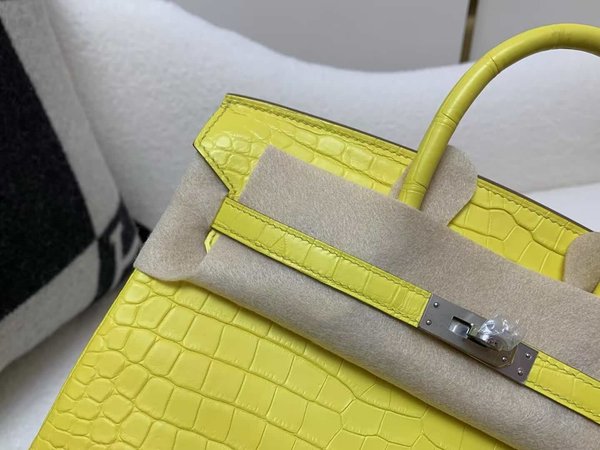 Hermès Birkin 25 Matte Porosus Crocodile M9 Marigold x Palladium Hardware