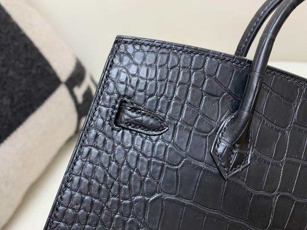 Hermès Birkin 20 Alligator Matte Noir x Gold Hardware