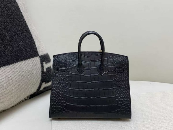 Hermès Birkin 20 Alligator Matte Noir x Gold Hardware