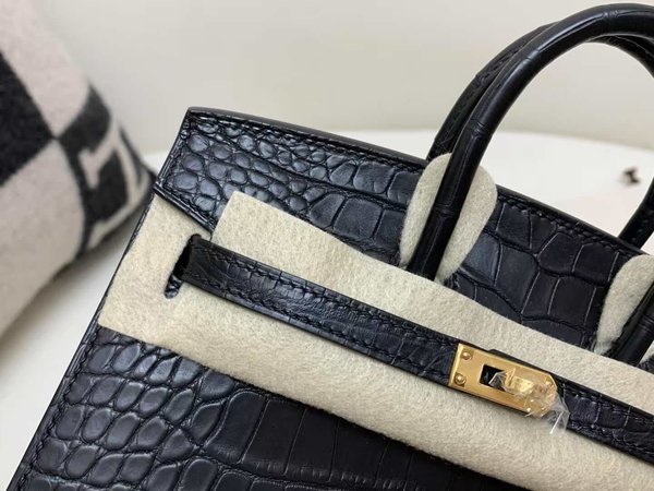 Hermès Birkin 20 Alligator Matte Noir x Gold Hardware