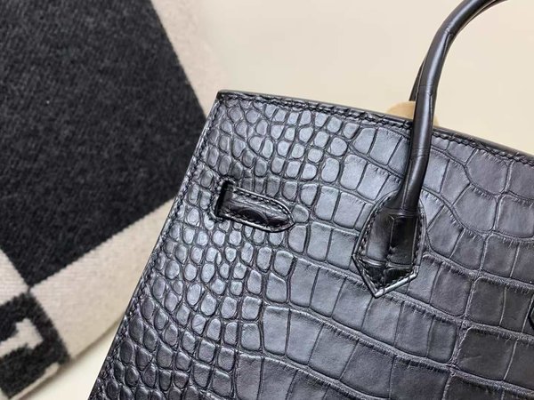 Hermès Birkin 20 Alligator Noir x Palladium Hardware (Matte finish)