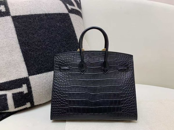 Hermès Birkin 20 Alligator Noir x Palladium Hardware (Matte finish)