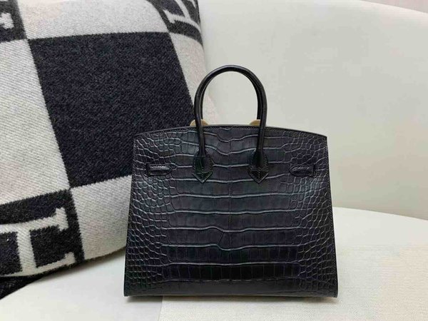 Hermès Birkin 25 Sellier Alligator Matte Noir x Palladium Hardware