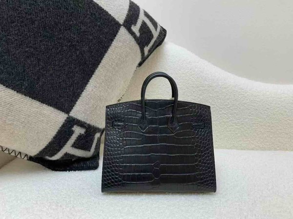 Hermès Birkin 25 Matte Alligator Noir x Gold Hardware