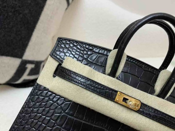 Hermès Birkin 25 Matte Alligator Noir x Gold Hardware