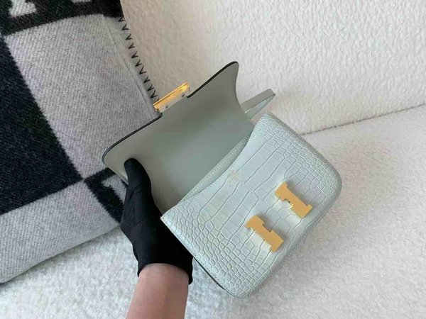 Hermès Constance 19 Matte Alligator Ice Grey x Gold Hardware