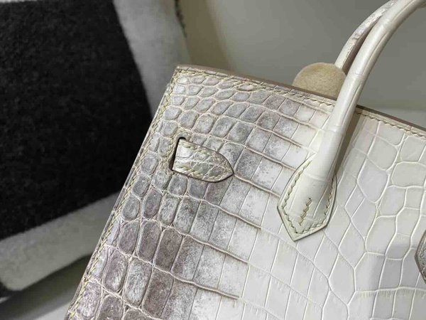 Hermès Birkin 20 Niloticus Alligator Matte Himalaya with Palladium Hardware