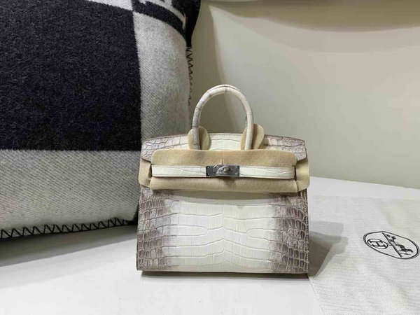 Hermès Birkin 20 Niloticus Alligator Matte Himalaya with Palladium Hardware