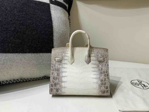 Hermès Birkin 20 Niloticus Alligator Matte Himalaya with Palladium Hardware