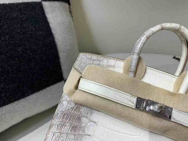 Hermès Birkin 20 Niloticus Alligator Matte Himalaya with Palladium Hardware