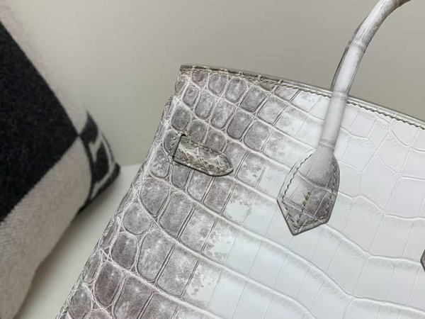 Hermès Birkin 25 Himalaya Niloticus Crocodile with Palladium Hardware