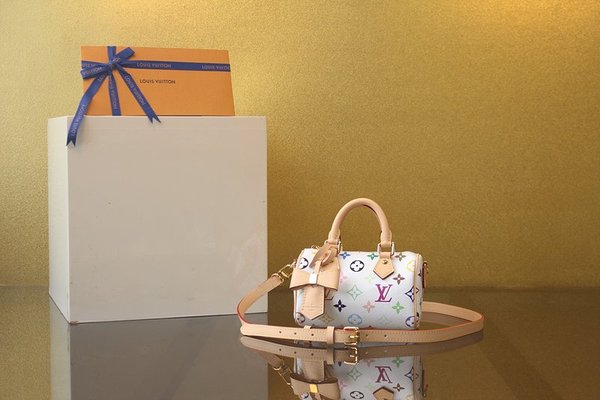 루이비통 LV x TM 나노 스피디 M13391 [매장가 344만원대]