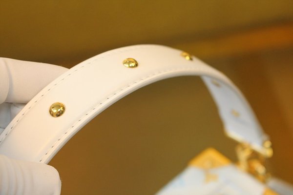 루이비통 LV x TM 사이드 트렁크 MM M14046 [매장가 739만원대]