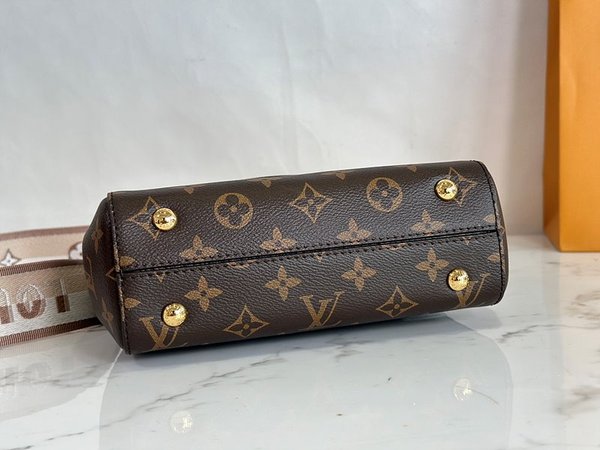 루이비통 클루니 미니백 [매장가 306만원대]