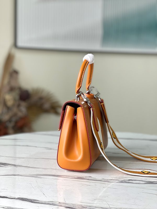 루이비통 클루니 미니백 [매장가 347만원대]