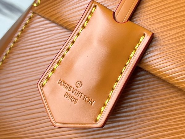 루이비통 클루니 미니백 [매장가 347만원대]