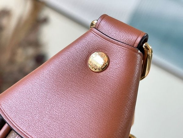 루이비통 루프 호보 모노그램 [매장가 360만원대]