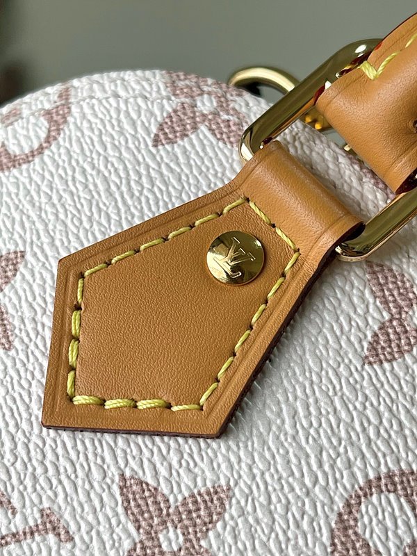 루이비통 나노 알마 기타모노그램 캔버스 [매장가 250만원대]