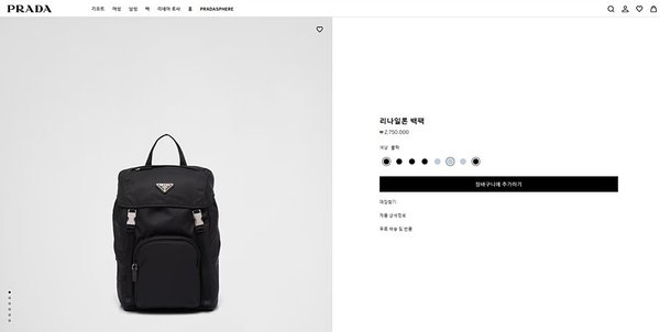 프라다 리나일론 백팩 [매장가 275만원대]