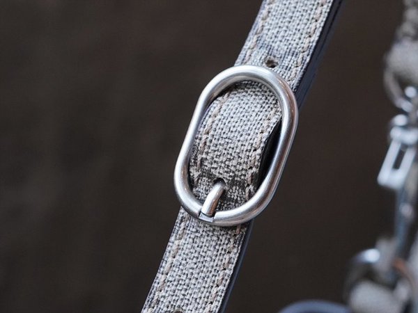 구찌 디오니서스 스몰 탑 핸들백 [매장가 350만원대]