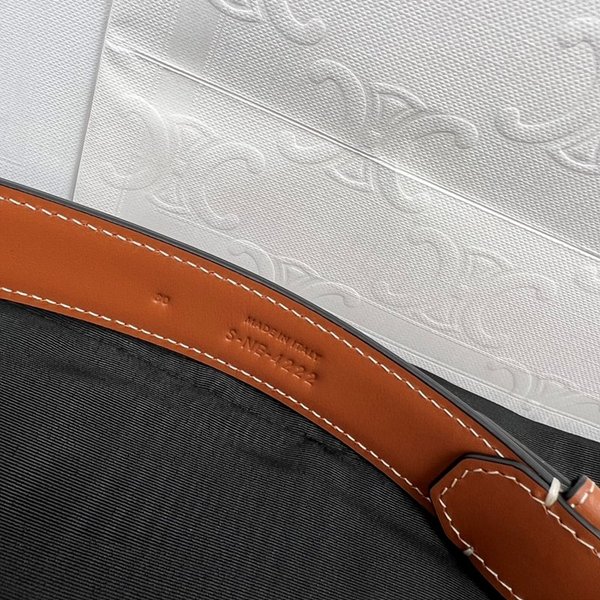 셀린느 트리옹프 벨트백 / 텐 [매장가 215만원대]