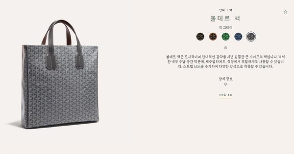 Goyard 고야드 볼테르 백 / 그레이 [매장가 340만원대]