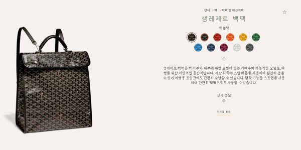 고야드 생 레제르 백팩 / 블랙 [매장가400만원대]