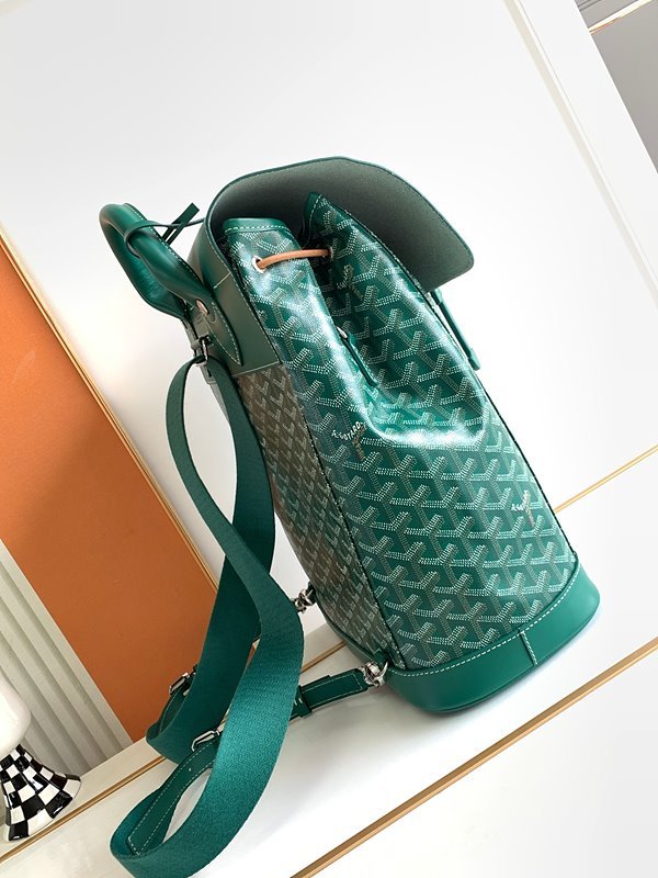 고야드 알팡 백팩 MM / 그린 [매장가 880만원대]