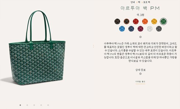 고야드 아르투아 백 PM / 그린