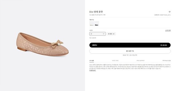 디올 까나쥬 플랫 슈즈 [매장가 330만원대]