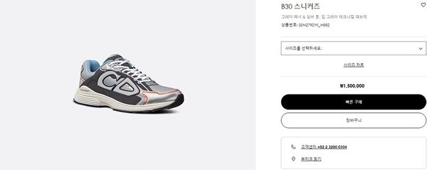 디올 B30 스니커즈 그레이 메시&실버 톤 [매장가 150만원대]