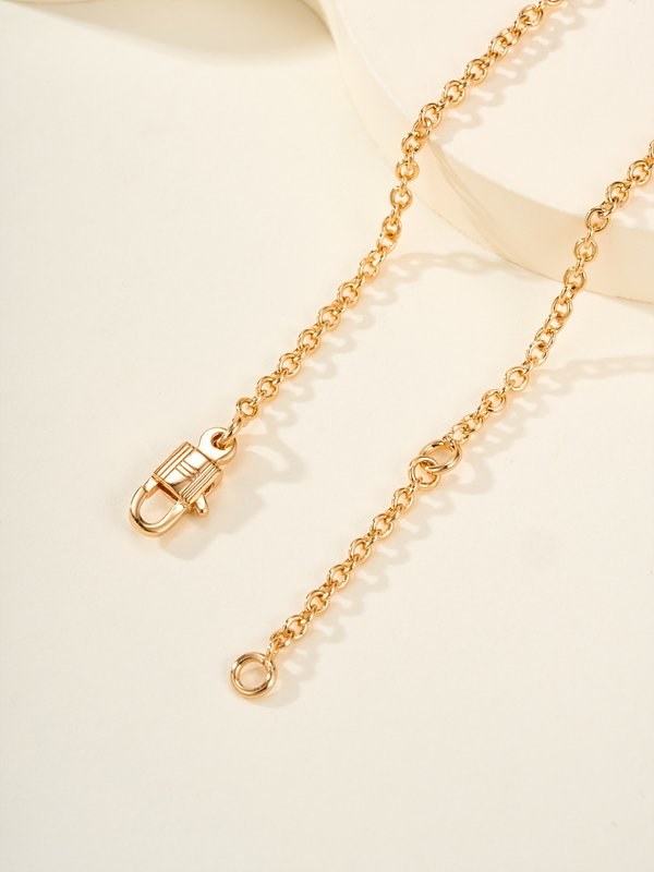 에르메스 아뮬렛 콘스탄스 팬던트 네크리스 2color