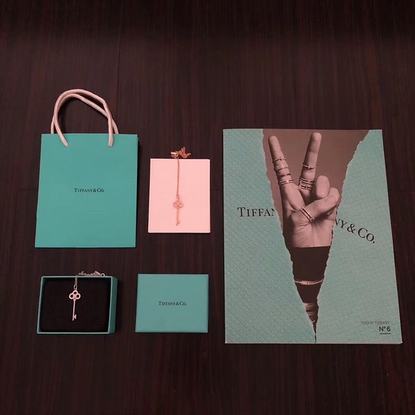 티파니앤코 크라운 키 네크리스 2color [매장가 600만원대]