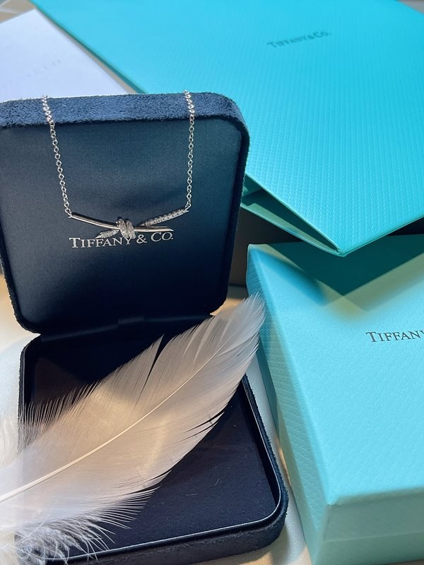 티파니앤코 노트 네크리스 [매장가 785만원대]