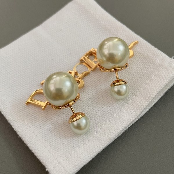 디올 Tribales 귀걸이 [매장가 91만원대]