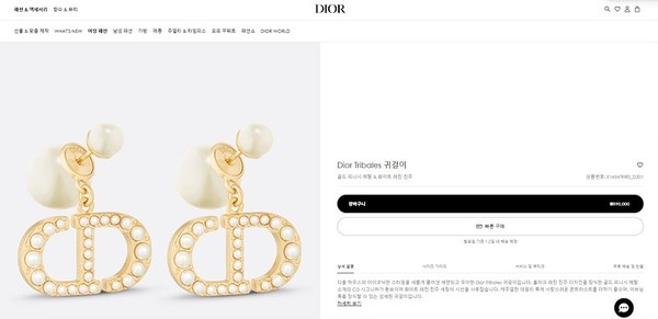 디올 Tribales 귀걸이 [매장가 89만원대]