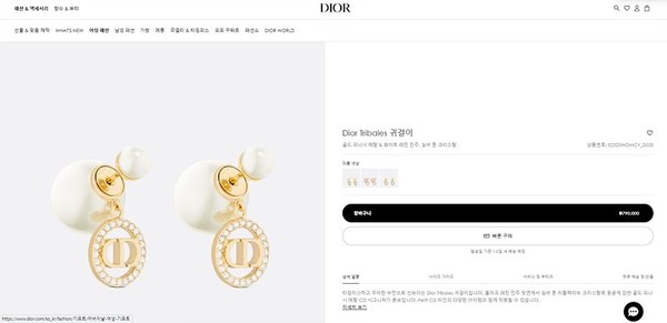 디올 Tribales 귀걸이 [매장가 79만원대]