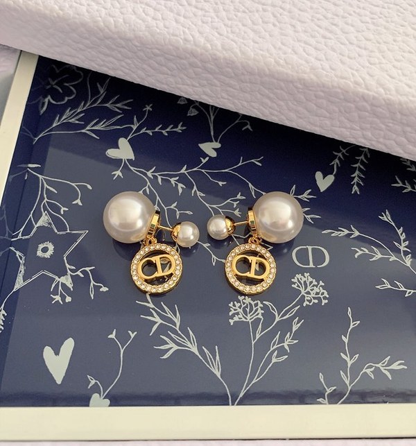 디올 Tribales 귀걸이 [매장가 79만원대]