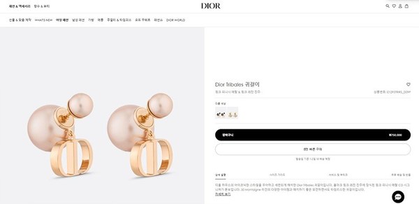 디올 Tribales 귀걸이 [매장가 75만원대]
