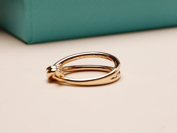 티파니앤코 노트 더블 로우 링 [매장가 370만원대]