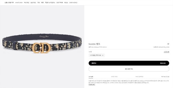 디올 Saddle 벨트 [매장가 83만원대]